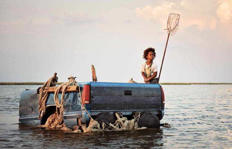 Divoká stvoření jižních krajin