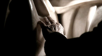 Michelangelův pohled